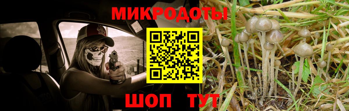 Галлюциногенные грибы Magic Shrooms Видное