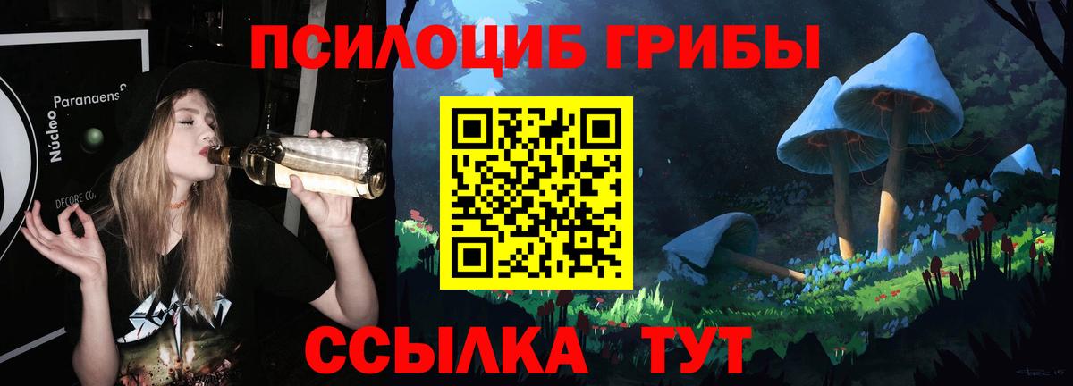 Галлюциногенные грибы Psilocybe  Галлюциногенные грибы MAGIC MUSHROOMS  Видное  цена   Вход с VPN 